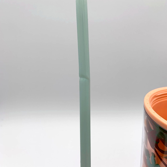 Starbucks Desert Bloom Venti Tumbler Cactus Peach Brown Teal Cold Cup Southwest - Picture 9 of 11